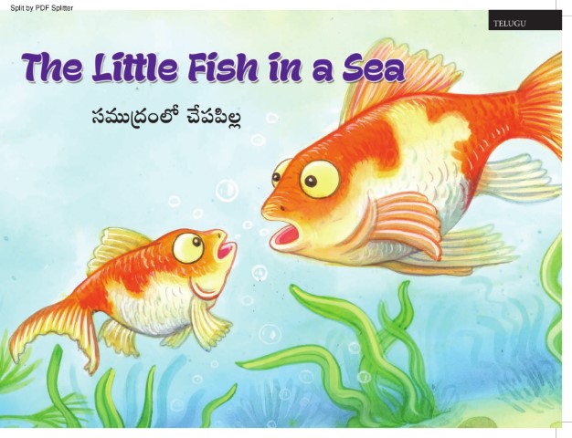 The Little Fish in a Sea